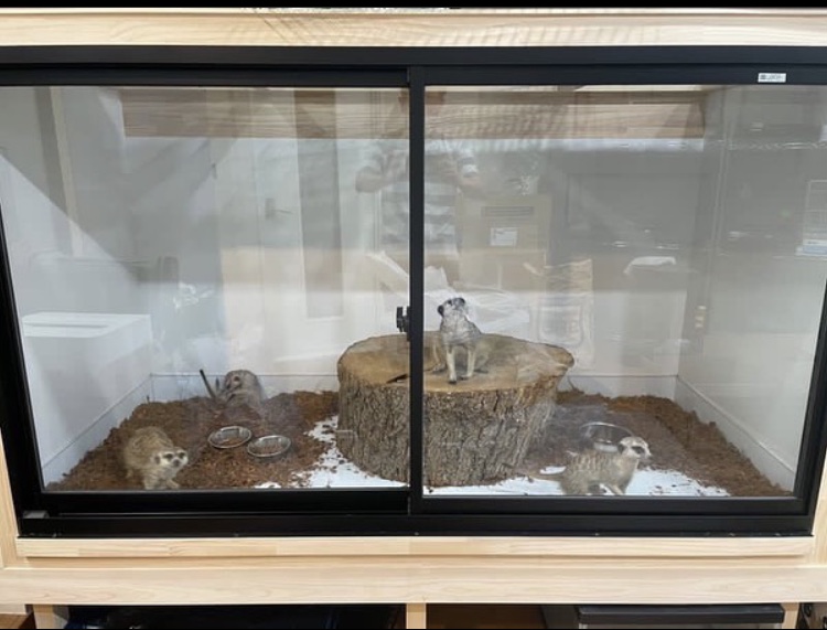 値下げ 爬虫類 ケージ ケース きなとのケージ屋さん オーダーメイド きなと