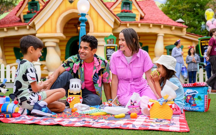 カリフォルニアディズニーランドリゾート チケット（ロサンゼルス