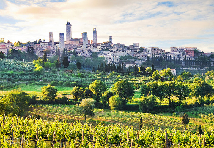 トスカーナ・見どころを巡る旅（キャンティワイナリーでのランチ付き