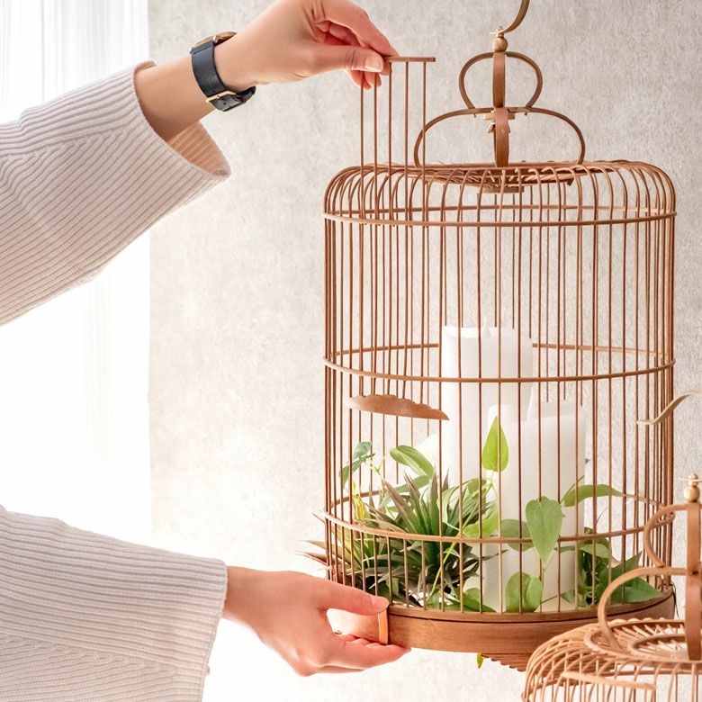 000000003646-13.jpg?size=l&w=