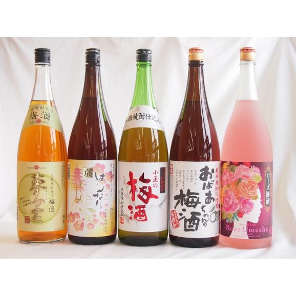 梅酒5本セット(おばあちゃんの梅酒 ローズ梅酒(愛知) 国産梅100%夢の実