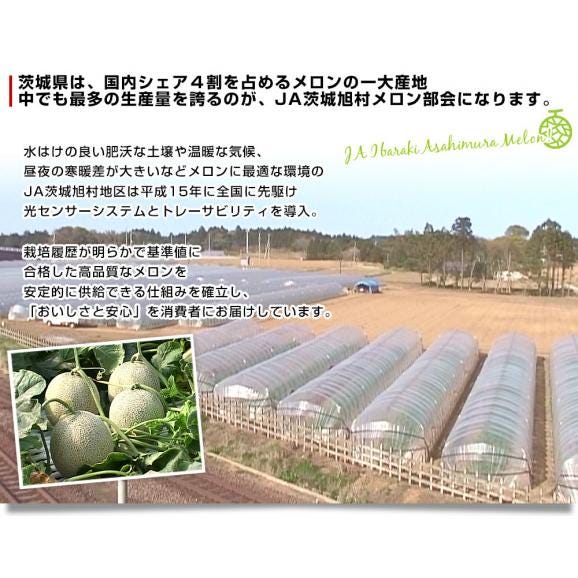 茨城県産 JA茨城旭村 エルソルメロン A品 大玉 4Lから3Lサイズ 約5キロ