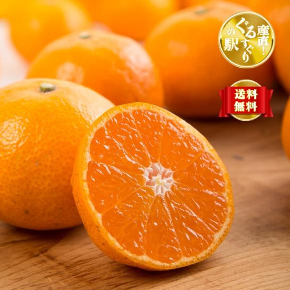 全国送料無料】名門！上友農園 完熟みかん～極～秀品_3㎏【出荷時完全