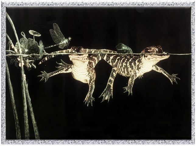 ファッション誌では教えてくれない、保存版：ワニ革の基礎知識 | Rio