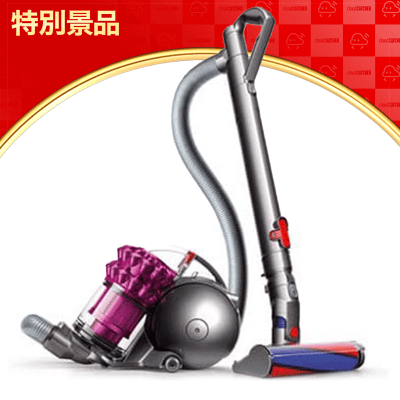 Dyson Ball Fluffy CY24 サイクロン式掃除機 ダイソンの掃除機・Ball