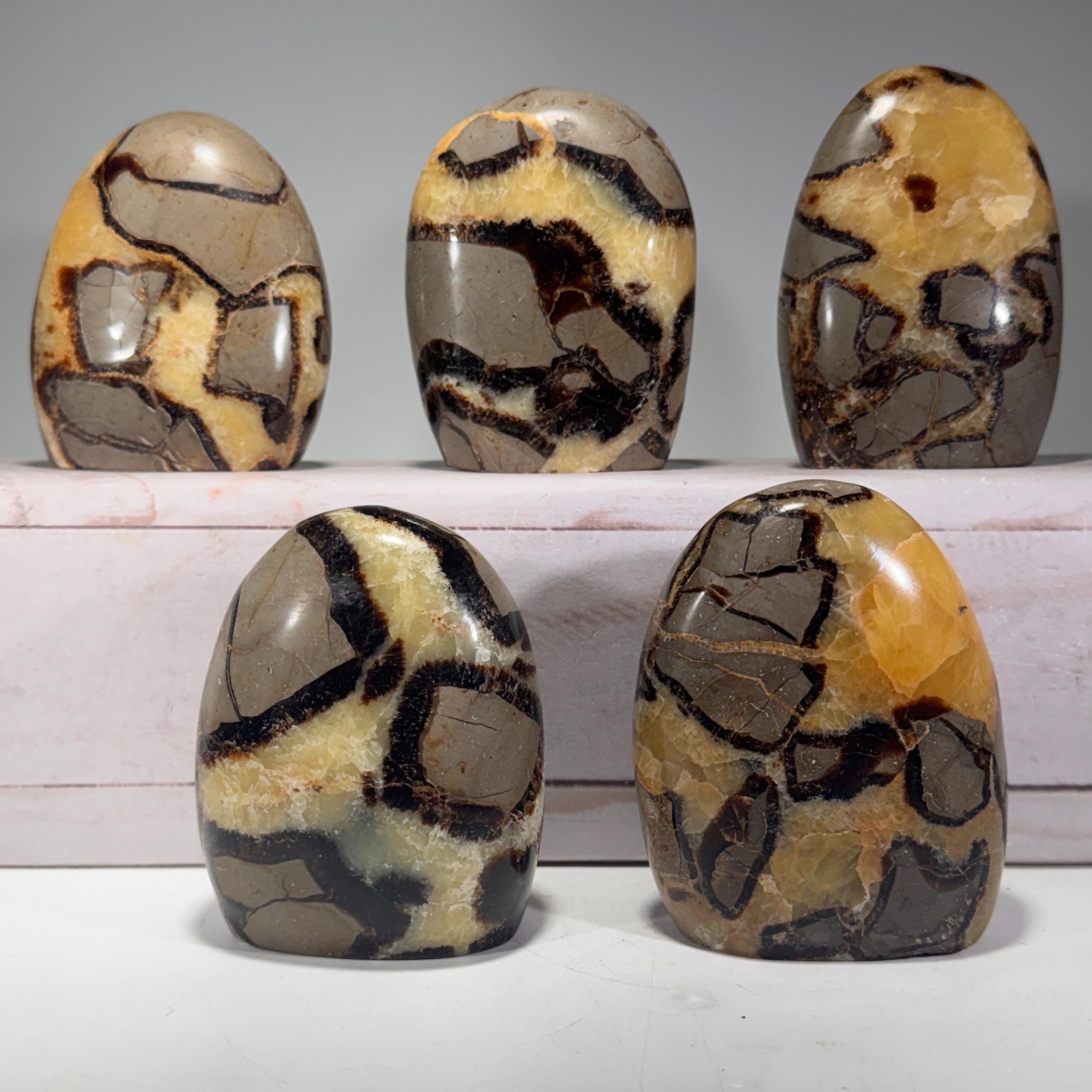 Septarian Nodule freeform – Roccia Roba - Rock Candles and Rock Decor