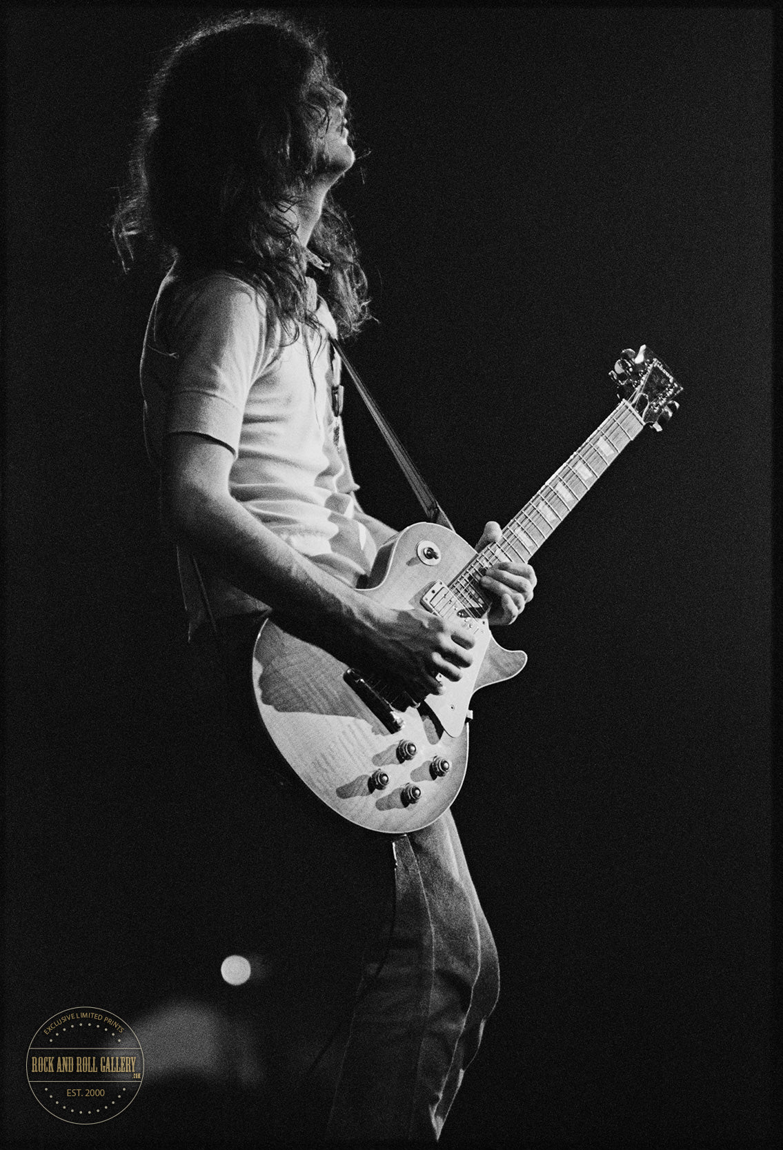 Led Zeppelin / Jimmy Page 1969 - LZ-AR-001 – Rock and Roll Gallery