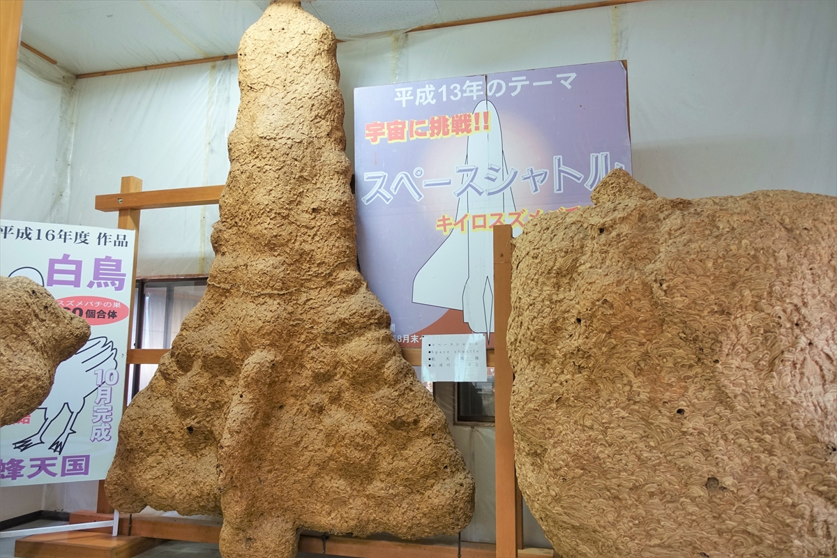 ギネス認定】世界一のハチの巣が展示された珍スポット『蜂天国』に行っ