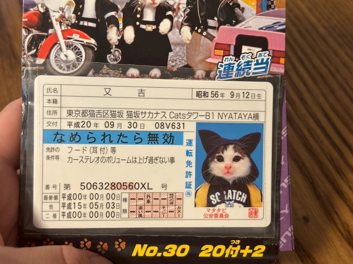 懐かしすぎる】昭和の名作「なめ猫」が今も健在だったので、カード