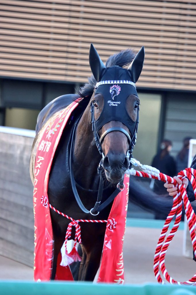 NAOTO」のYahoo!リアルタイム検索 - X（旧Twitter）をリアルタイム検索