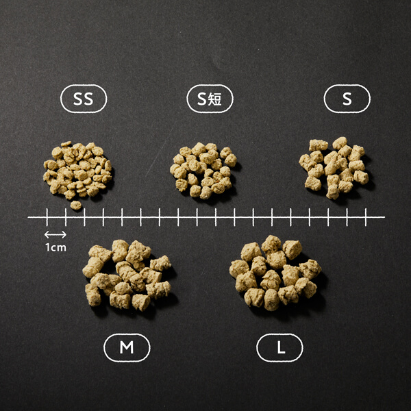 サーモン・マダラ＆ベジタブル・フルーツ（成犬用/胃腸サポート・低