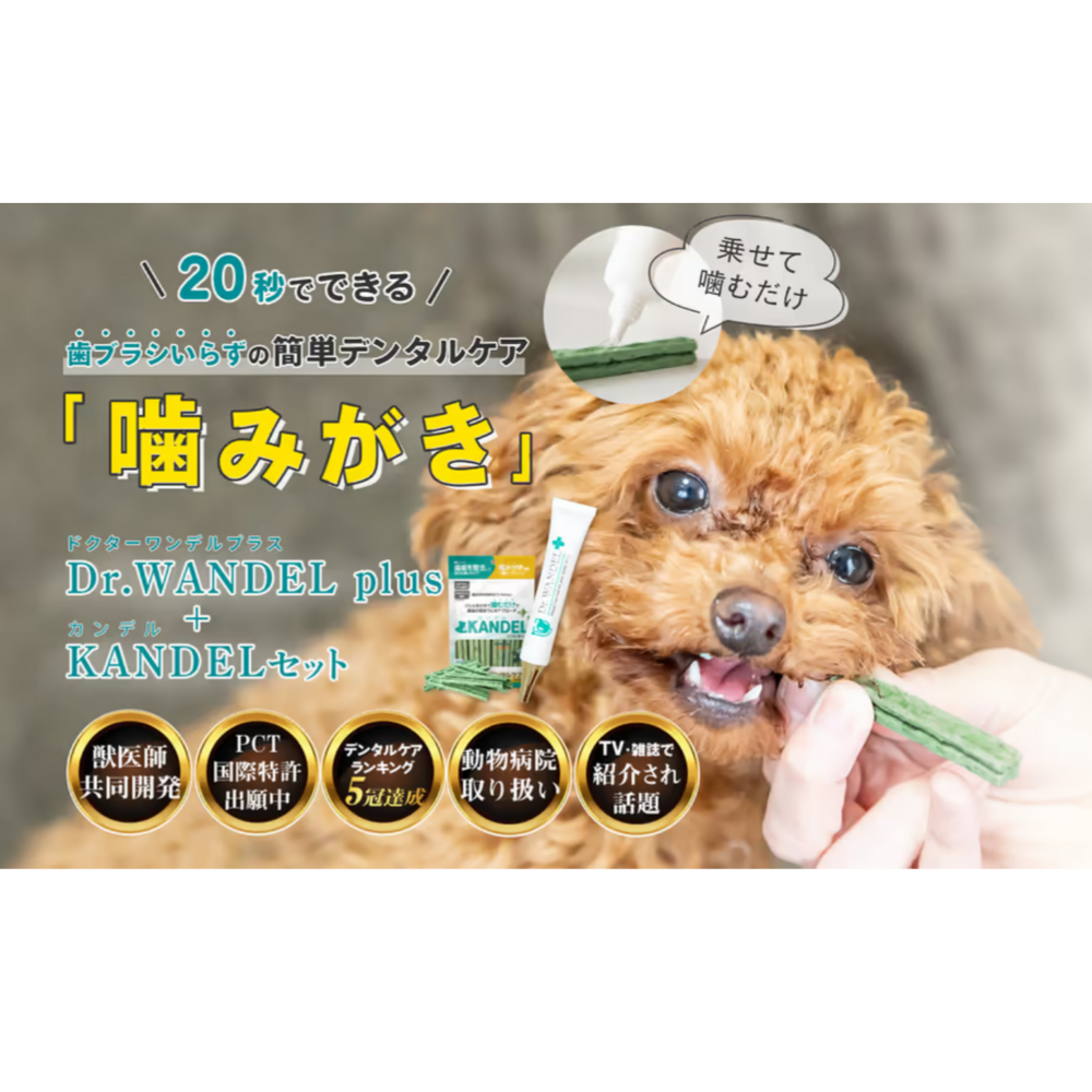 ♢当日発送♢ドクターワンデル プラス 3本【新品未開封】Dr.WANDEL a ♢