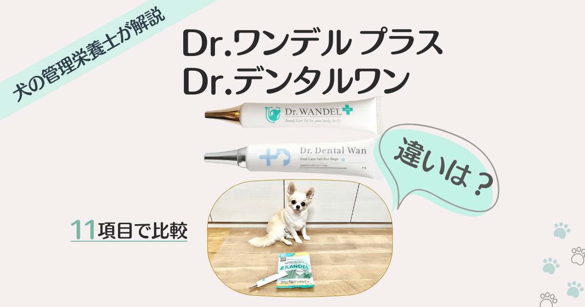 ドクターデンタルワン 2本セット 【公式通販】