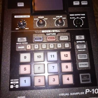 ROLAND EDiROL P-10 Visual Sampler VIDEO DJ VJ TOOL | Reverb