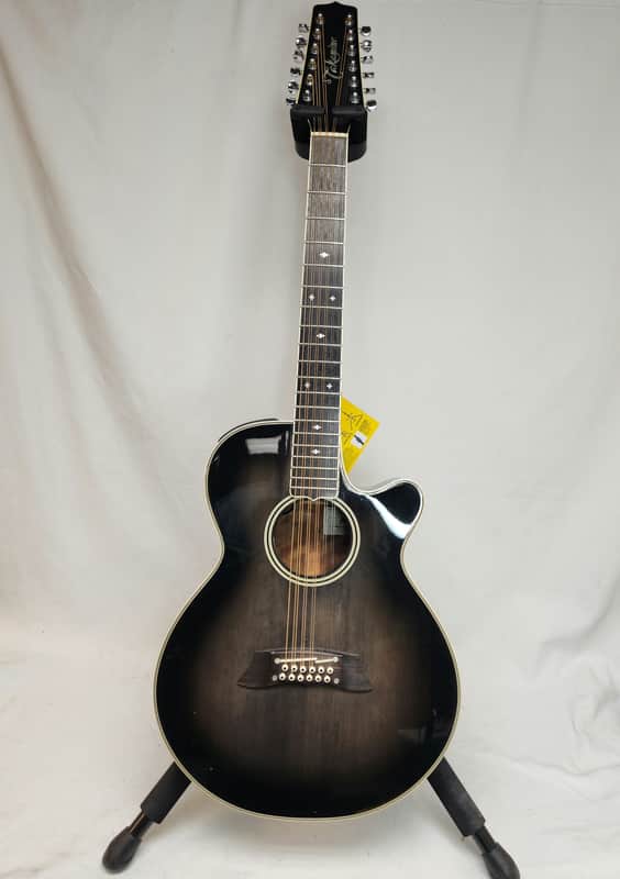 Takamine NPT-110-12 12 String Guitar | Reverb