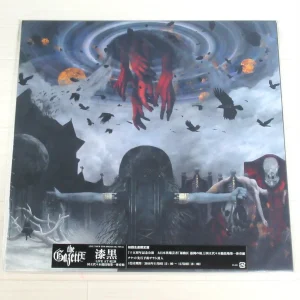 the GazettE【再定義】DVD the GazettE【-再定義- COMPLETE BOX】FC