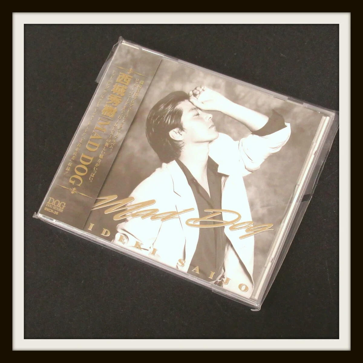 西城秀樹 パンフレット、直筆サイン、内輪、下敷き、フライヤー等大量