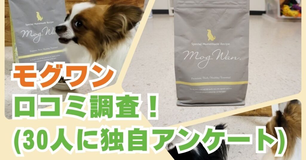 モグワン ドッグフード1.8kg ×3袋 (おまけ付き)