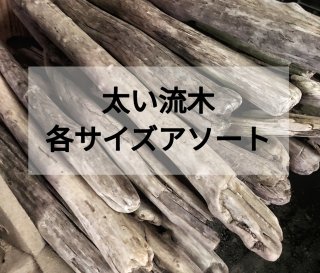 リピート率高｜1番人気の流木アソート販売【まがり屋流木】