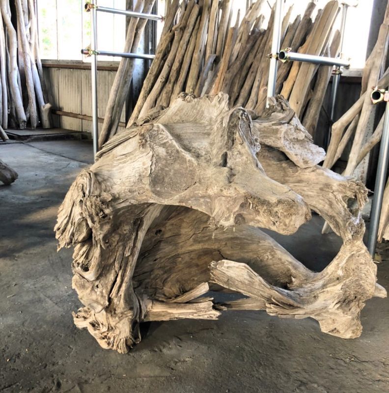 特大 良型 流木 A801 ホーンウッド 特大 良型 流木 A801 ホーンウッド