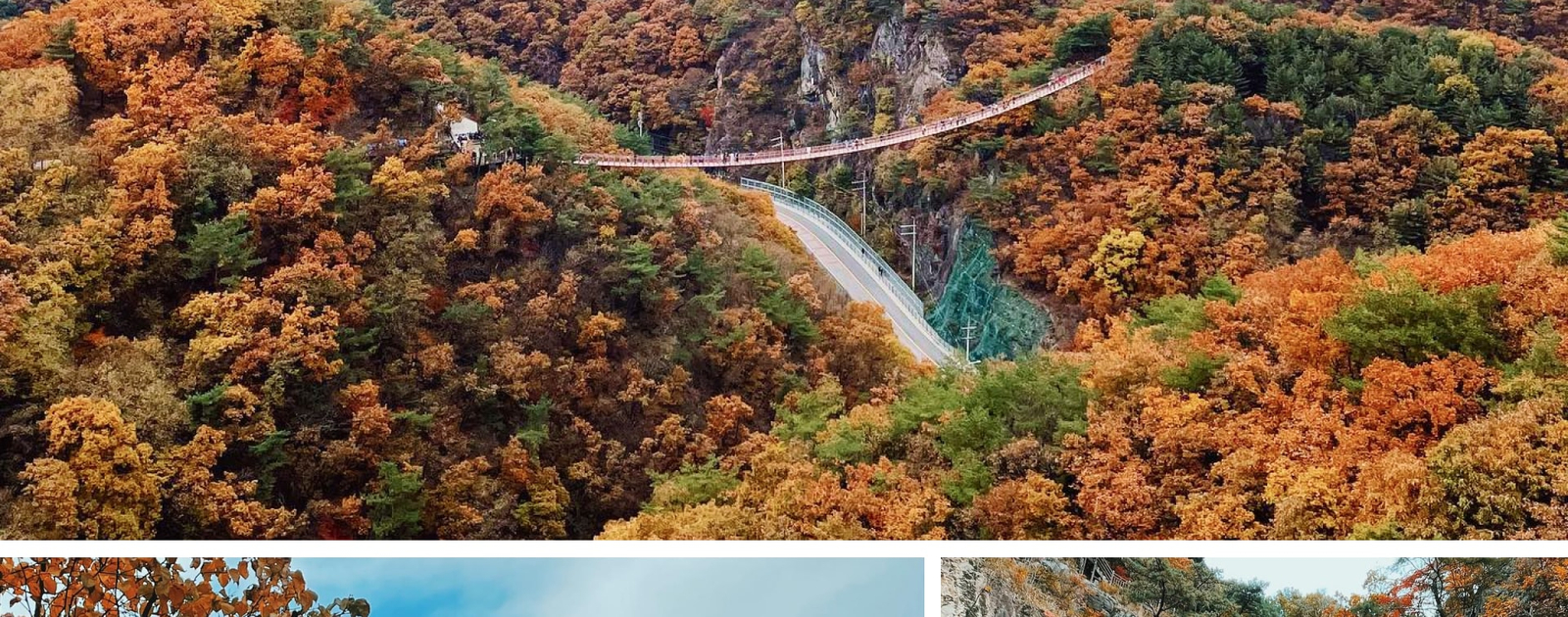 Seoul City & Seasonal Hot Attractions One Day Tour 50% Off Entry