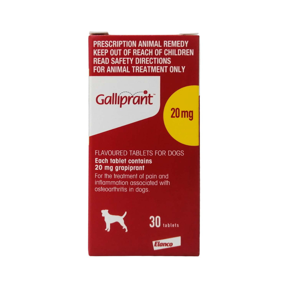 ガリプラント20mg30錠｜関節炎｜犬猫薬の通販｜ペットくすり