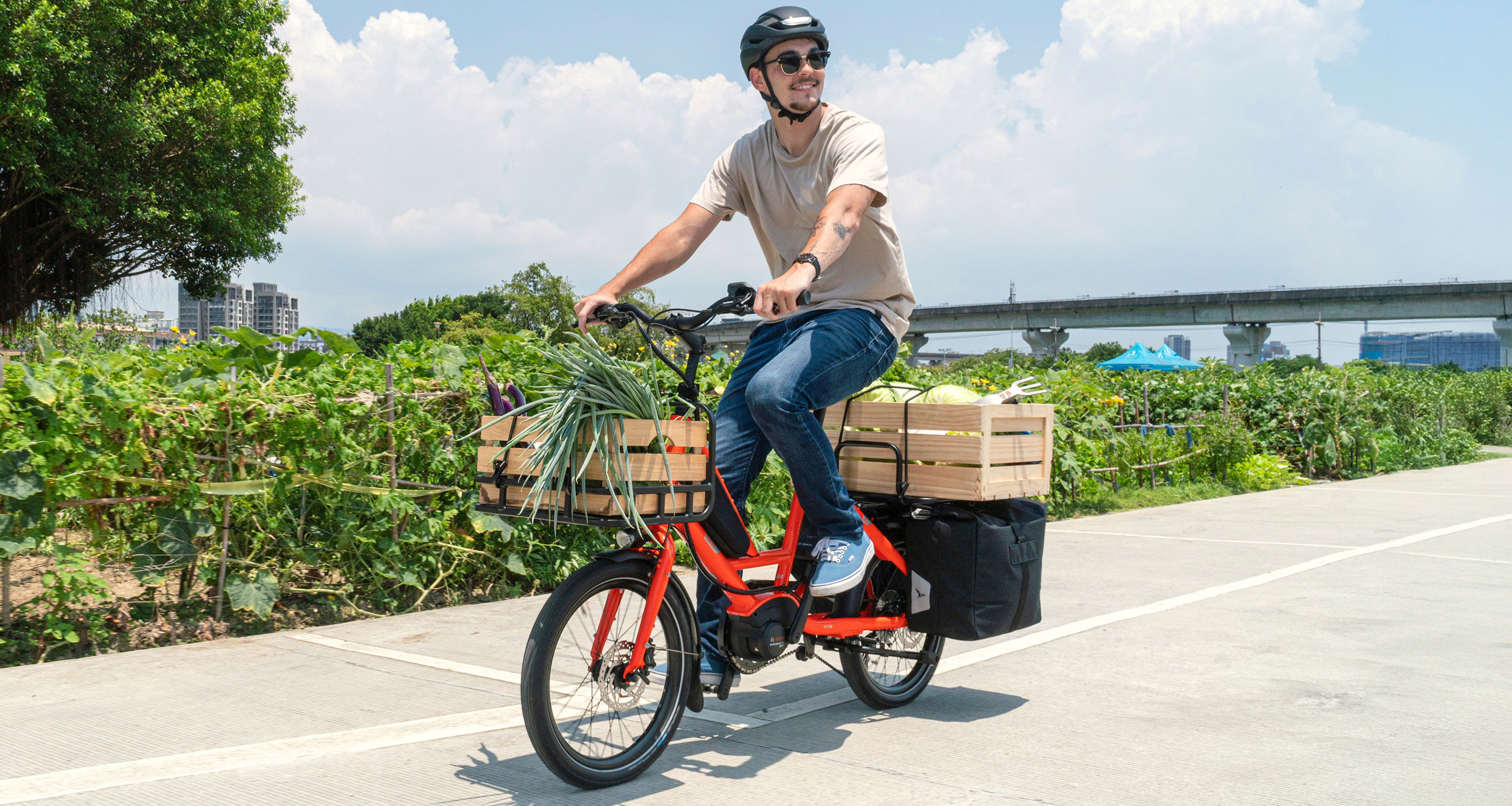 美品 走行250㎞ tern Quick Haul D8 ターン クイックホール Quick Haul