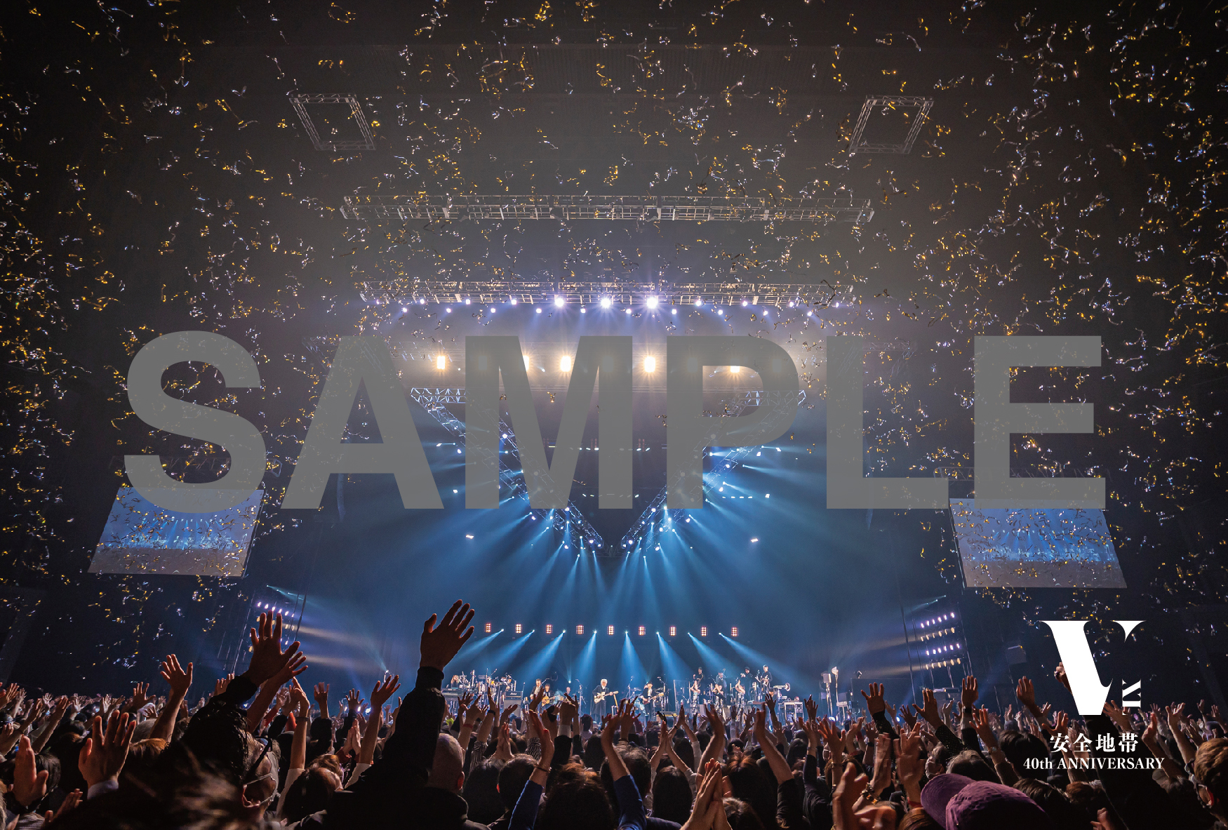 DISCO｜玉置浩二＆安全地帯オフィシャルサイト｜玉置浩二＆安全地帯