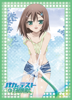 ChaosTCG 姫路瑞希＆木下秀吉 スリーブ 50枚 未開封 ブシロード 金銀