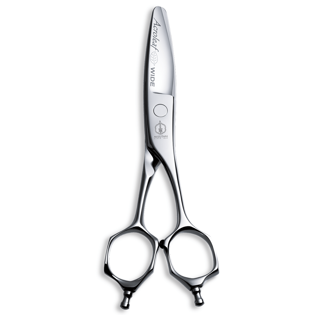 スライド＆ストローク｜商品一覧｜ミズタニシザーズ