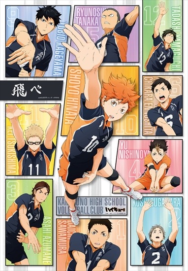 ハイキュー ハイキュー展 パズル モザイクアートパズル 烏野