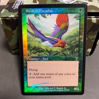 極楽鳥 7版英語版foil 美品 1枚の通販 たかさん（1461102165） | magi