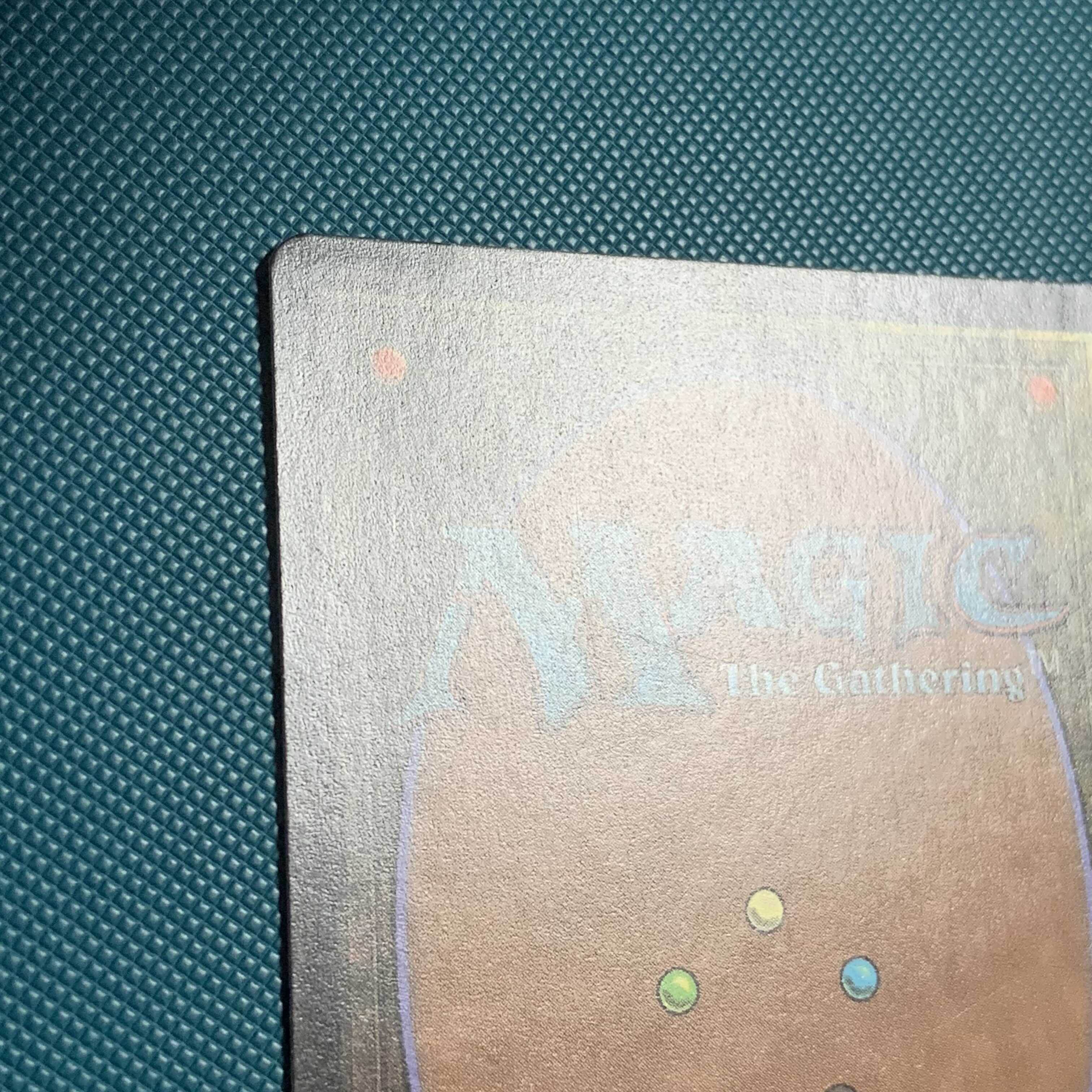 MTG GURUランド/グルランド/島/island 1枚の通販 通知は切っています