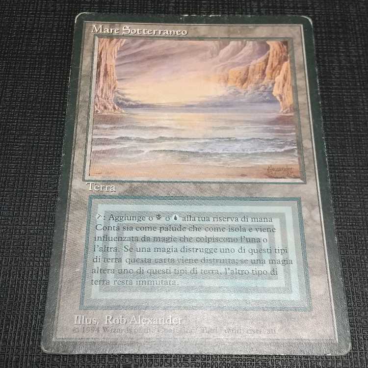 MTG scrubland フランス語版 FBB 黒枠 Scrubland - Revised GERMAN