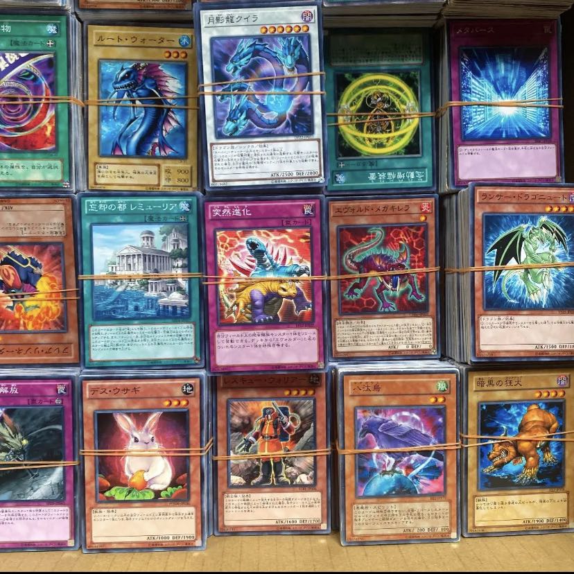 遊戯王OCG トレーディングカード コレクション まとめ売り 遊戯王