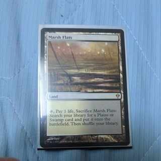 2枚セット】湿地の干潟_FOIL_EXP Amazon.co.jp: MTG EXP/エクスペ