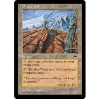 不毛の大地 foil 褒賞プロモ wasteland 旧枠 Foil】□旧枠□《不毛の