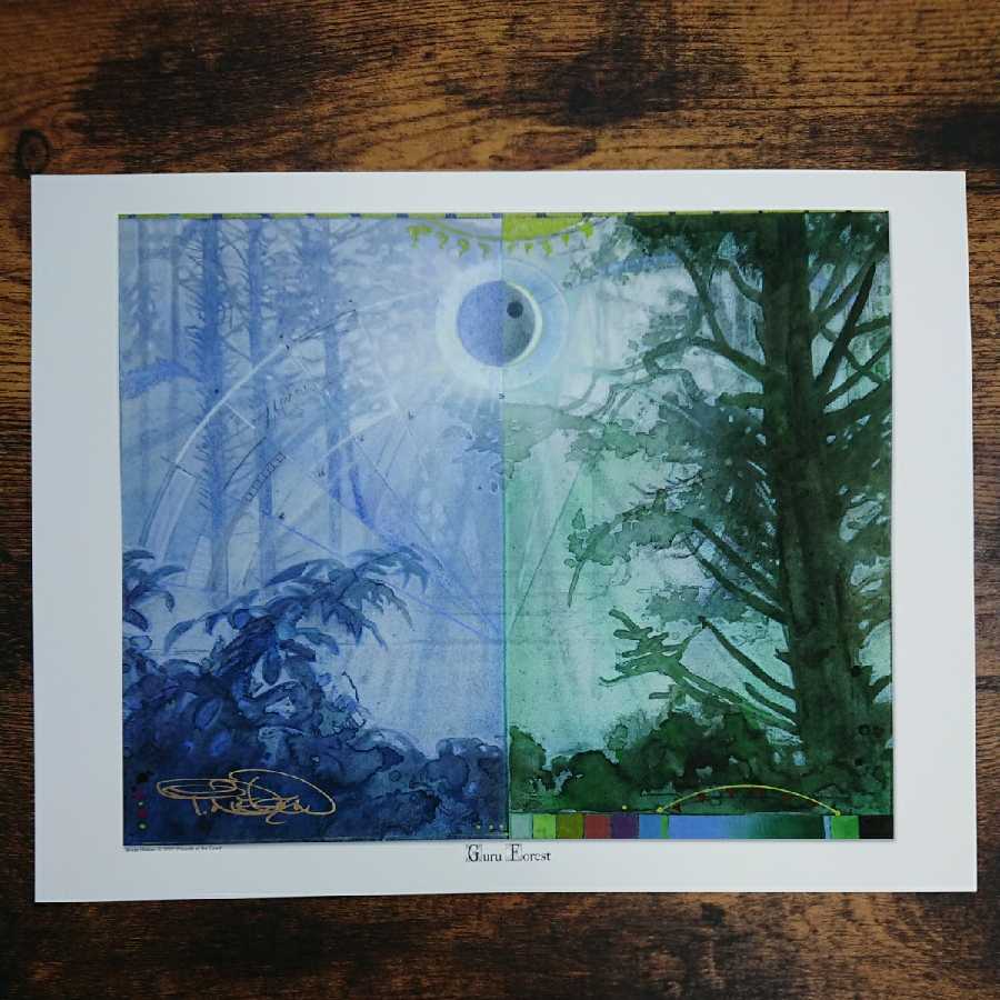 グルランドGuru Land イラスト ニールセン 直筆サイン入りMTG