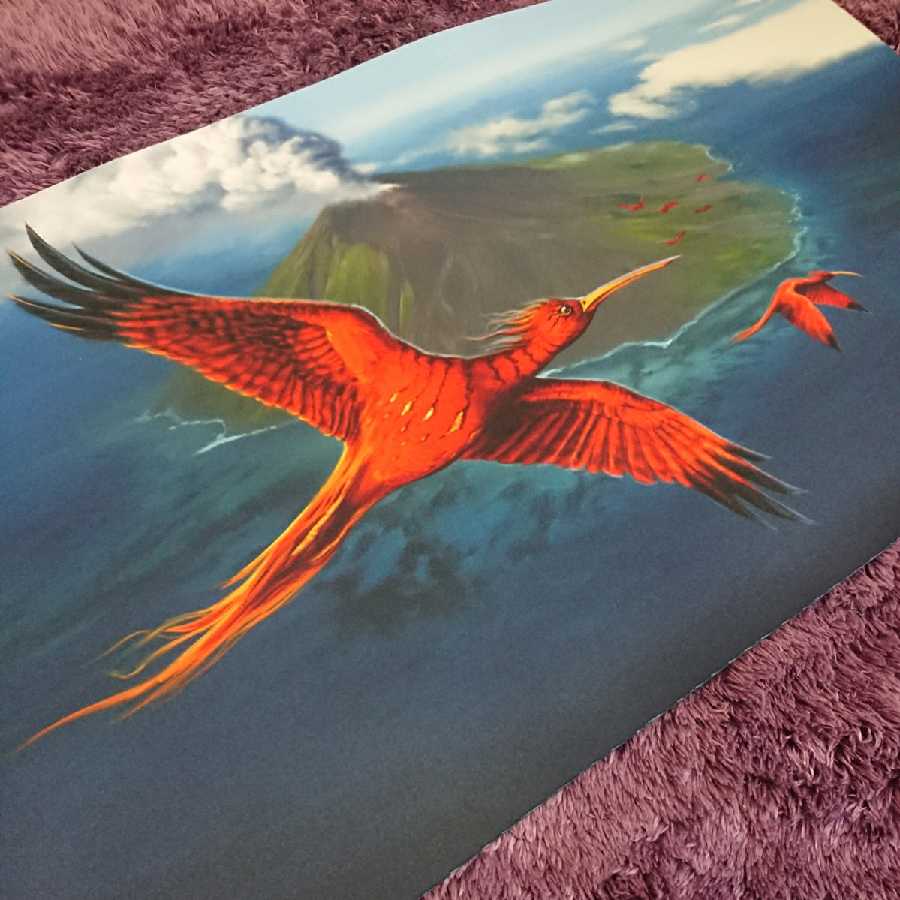 MTG 極楽鳥 Mark Poole プレイマット Amazon | MTG 極楽鳥 Mark Poole