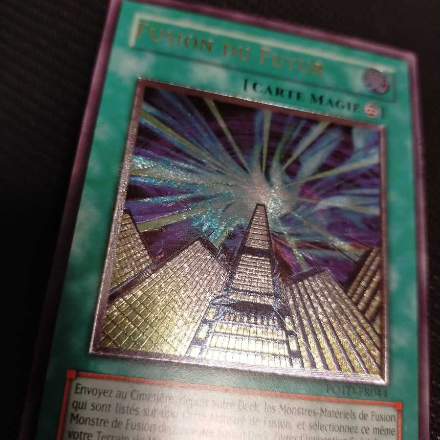 未来融合-フューチャー・フュージョン フランス語 レリーフ 英語 1枚の