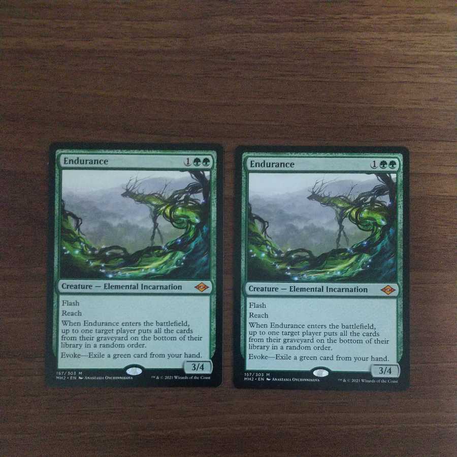 MTG mtg 忍耐 英語4枚 忍耐⁄Endurance 英語版 4枚セット