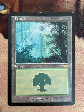 Guruランド グルランド 平地 平地/Plains》[Guruランド] 土地 | 日本