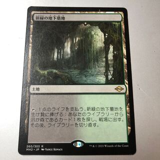 新緑の地下墓地 日本語 旧枠 4枚セット MTG 新緑の地下墓地