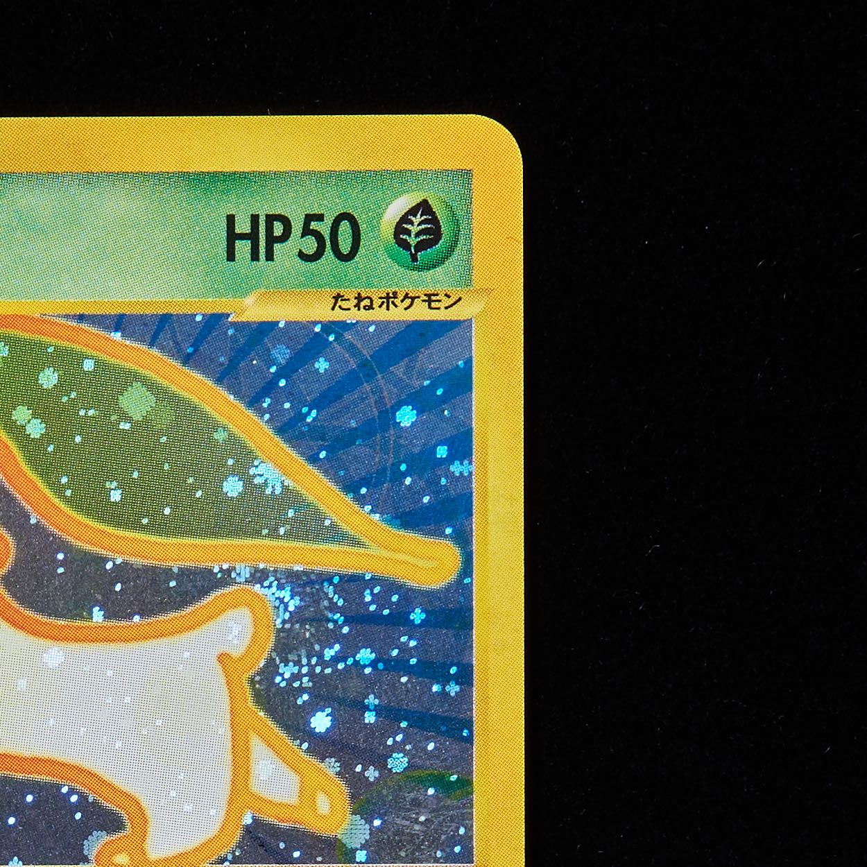 PSA10】【渦巻ホロ】ポケモンカードe チコリータ マクドナルド プロモ