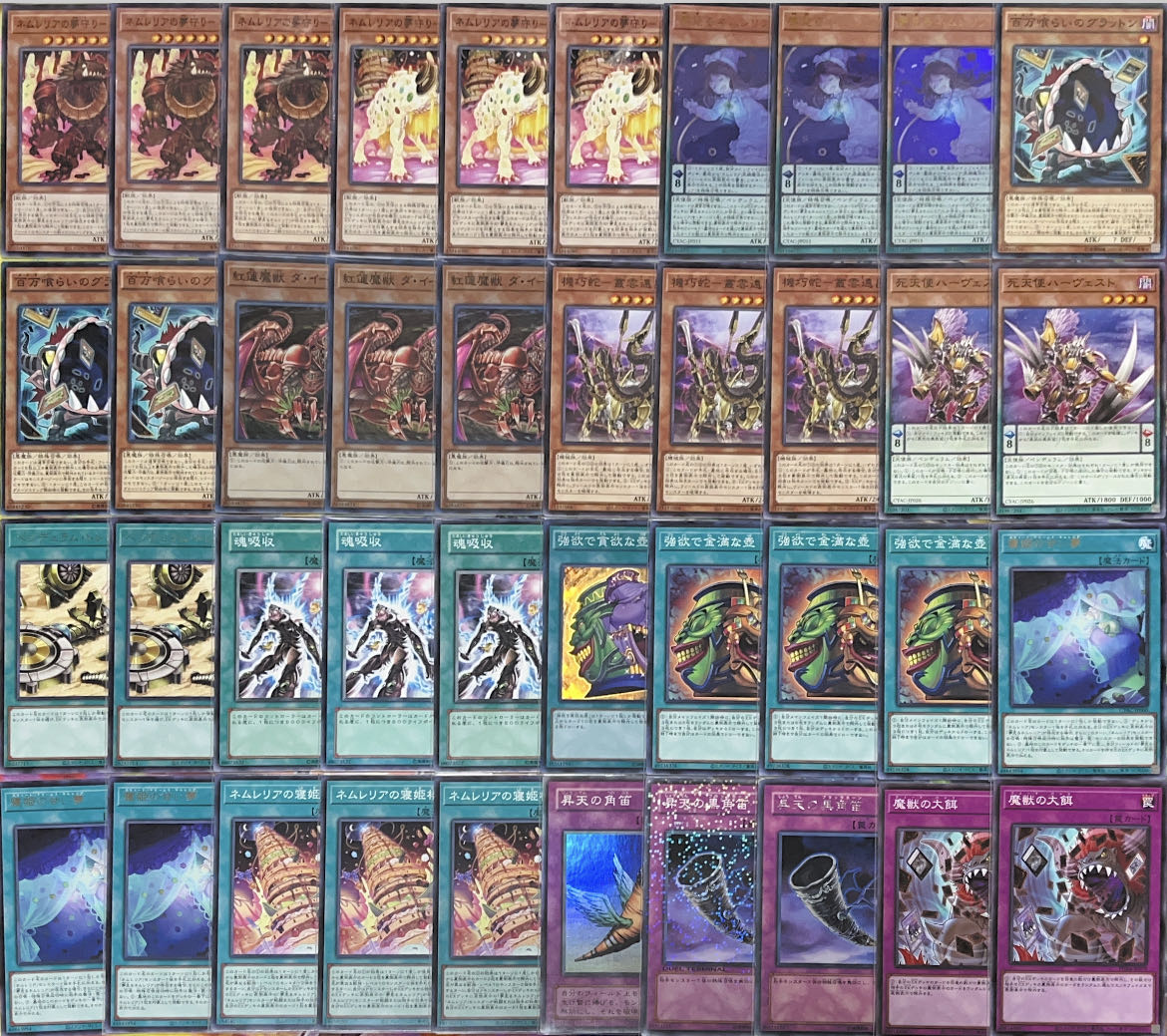 メイン40枚】ネムレリア デッキ 30枚の通販 ジャストcozyカードshop
