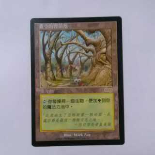 mtg ガイアの揺籃の地 日本語 MTG ガイアの揺籃の地 日本語 1枚 ② MTG