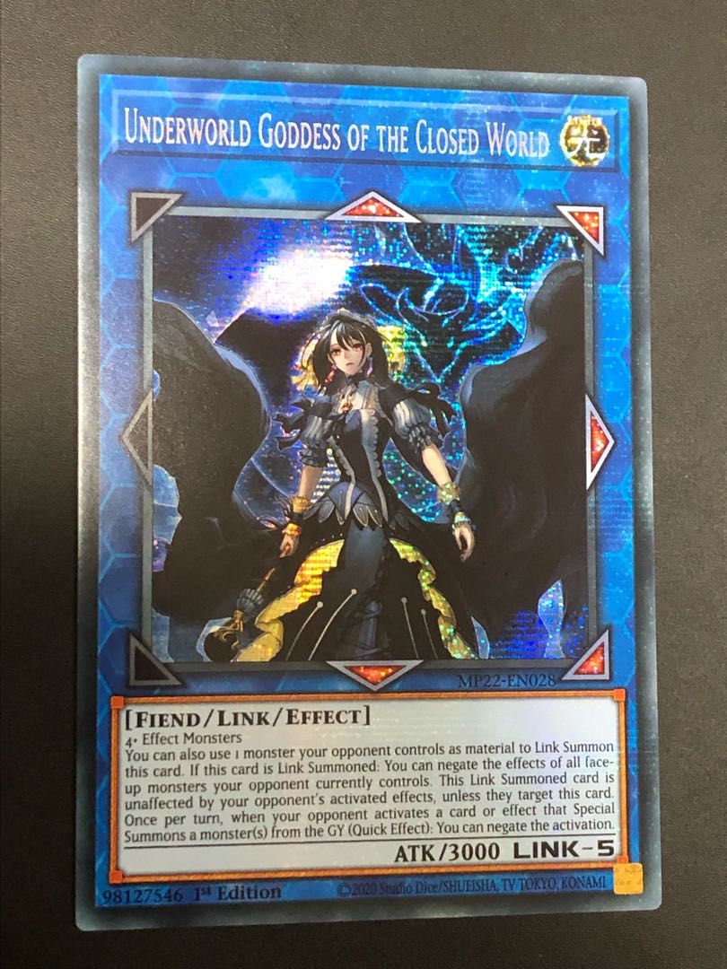 遊戯王 閉ザサレシ世界ノ冥神（サロスエレスクルヌギアス） プレイ