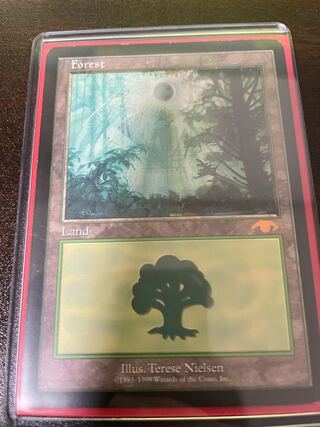 グルランド 森 mtg グルランド 森 guru プレイ用 美品 mtg グルランド