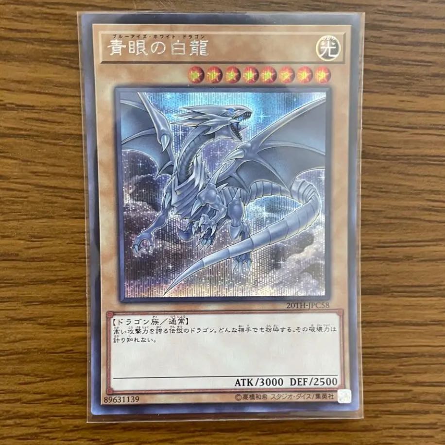 青眼の白龍 25th イラスト違い ブルーアイズホワイトドラゴン 2枚 青眼の白