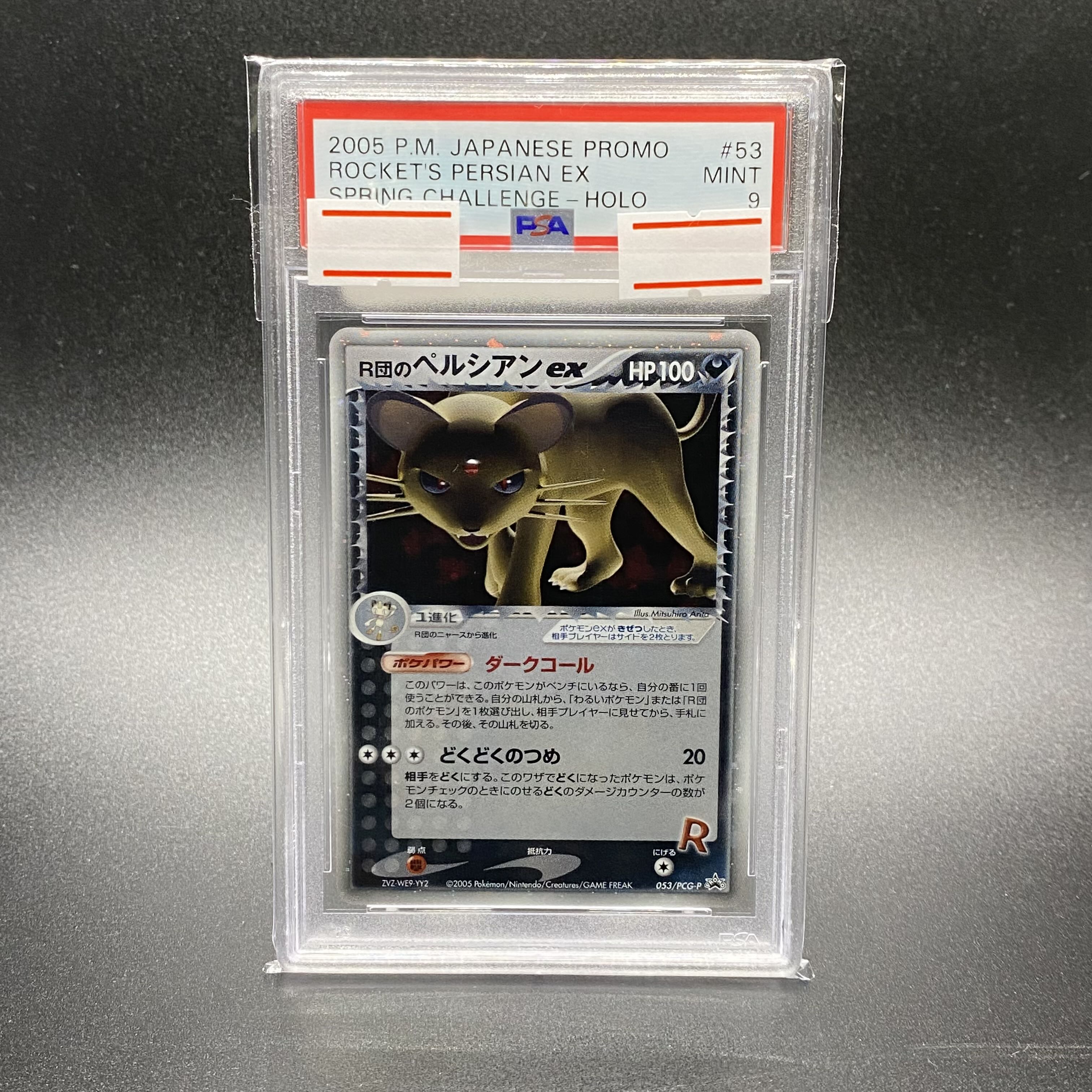 R団のペルシアンex プロモ R団のペルシアンex ホロ 053⁄PCG-P